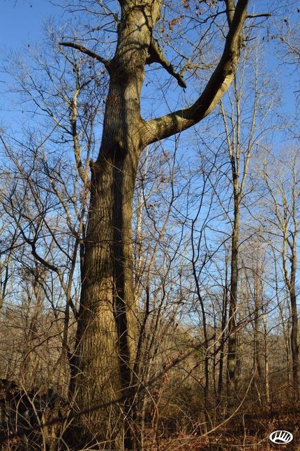 Property in Columbiana County, Ohio