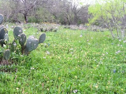 Property in Wilson County, Texas