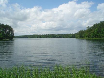 Property in Fairfield County, South Carolina