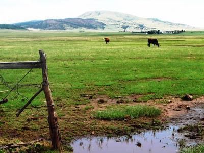 Property in Mora County, New Mexico