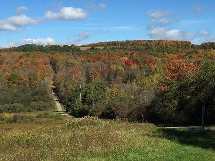 Property in Steuben County, New York