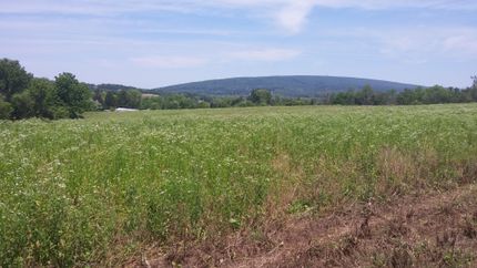 Property in Union County, Pennsylvania