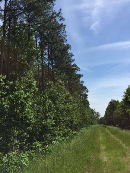 Property in Currituck County, North Carolina