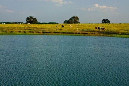 Property in Wilson County, Texas