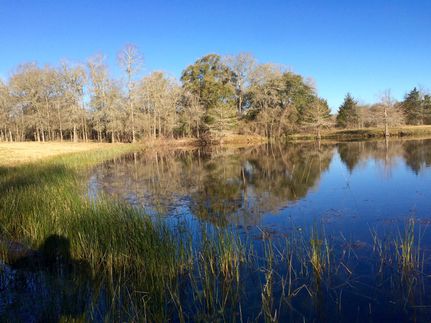 Property in Burleson County, Texas