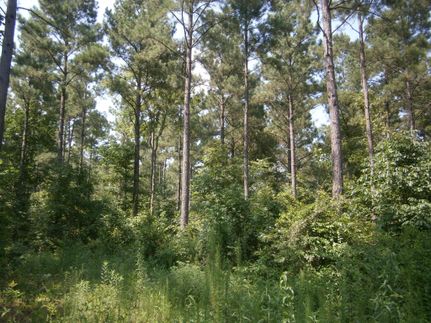 Property in Prentiss County, Mississippi
