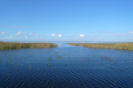 Property in Osceola County, Florida