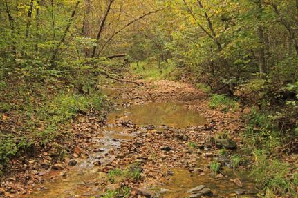 Property in Camden County, Missouri