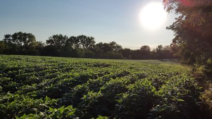 Property in Warren County, Iowa