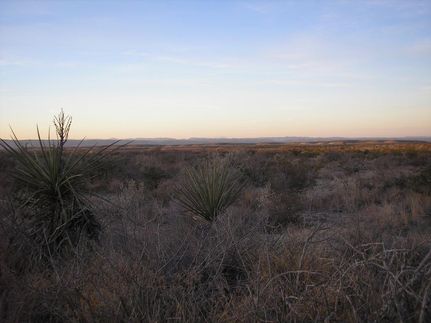 Property in Terrell County, Texas