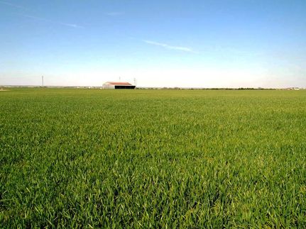 Property in Caddo County, Oklahoma