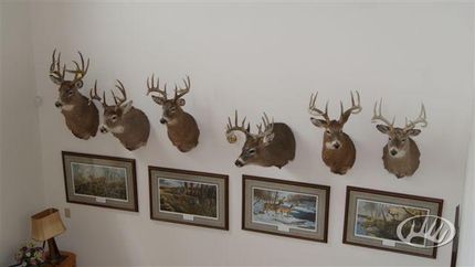 Property in Polk County, Minnesota