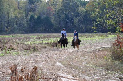 Property in Fayette County, Tennessee