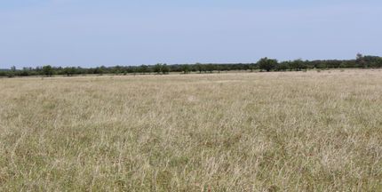 Property in Bosque County, Texas