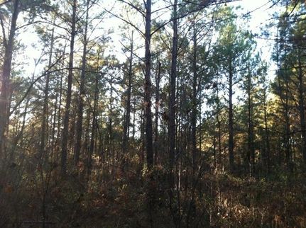 Property in Jefferson County, Alabama