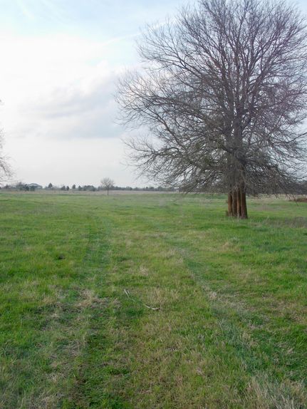 Property in Lee County, Texas
