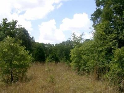 Property in Freestone County, Texas