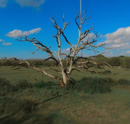 Property in Fort Bend County, Texas