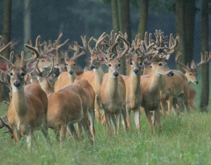 Property in Franklin County, Pennsylvania