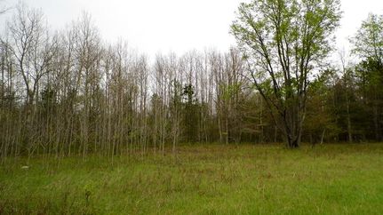 Property in Manistee County, Michigan