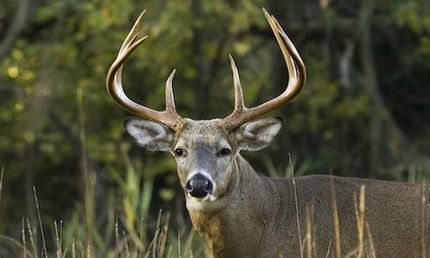 Property in Frederick County, Maryland