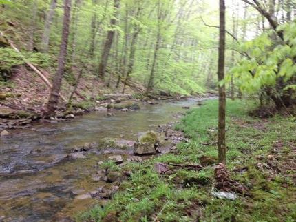 Property in Claiborne County, Tennessee