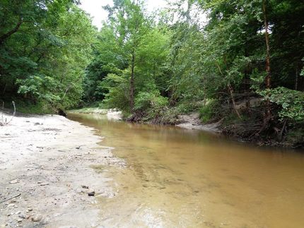 Property in Tyler County, Texas