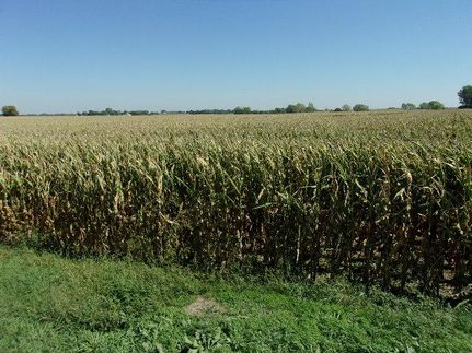 Property in Adams County, Nebraska