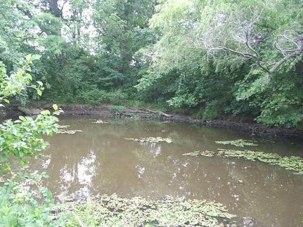 Property in Woodson County, Kansas