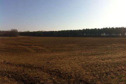 Property in Monroe County, Arkansas