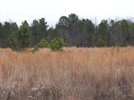 Property in Sumter County, South Carolina