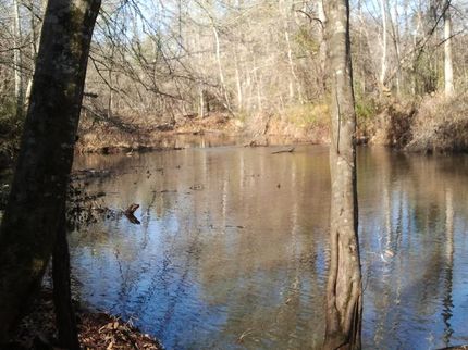 Property in Newberry County, South Carolina