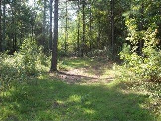 Property in Chesterfield County, South Carolina