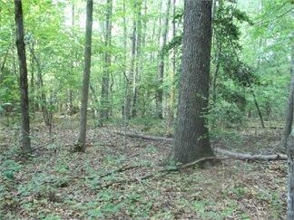 Property in Moore County, North Carolina