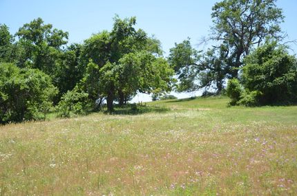 Property in Milam County, Texas