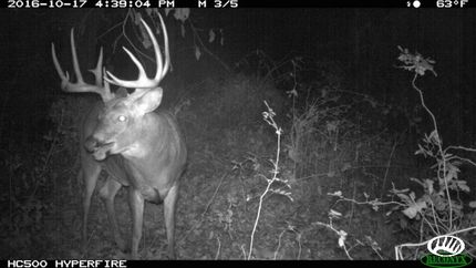 Property in Allamakee County, Iowa