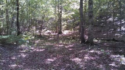 Property in Clay County, Alabama