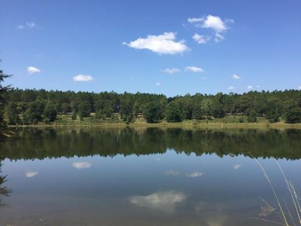 Property in Montgomery County, Georgia