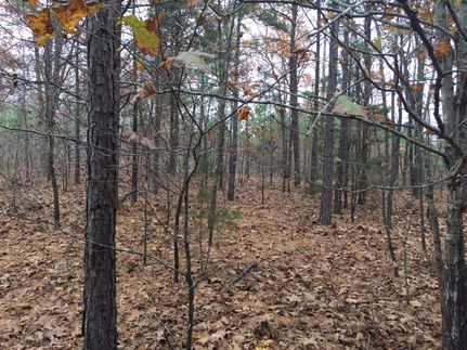 Property in Van Buren County, Arkansas