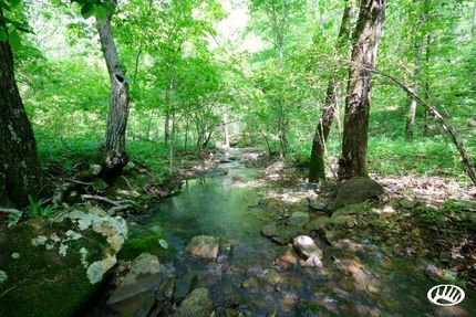 Property in Madison County, Arkansas