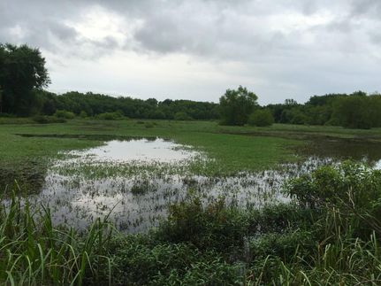 Property in Henry County, Missouri