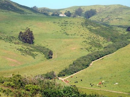 Property in San Mateo County, California