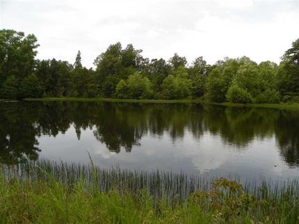 Property in Fulton County, Arkansas