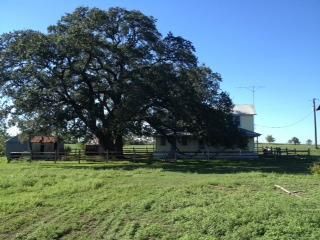 Property in Fayette County, Texas