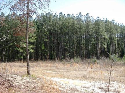 Property in Lexington County, South Carolina