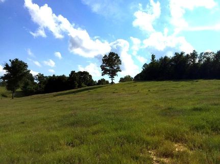 Property in Choctaw County, Alabama