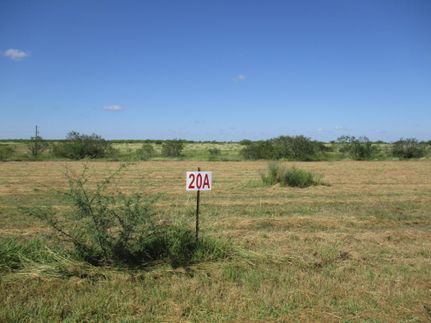 Property in Jim Wells County, Texas