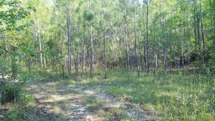 Property in Brunswick County, North Carolina