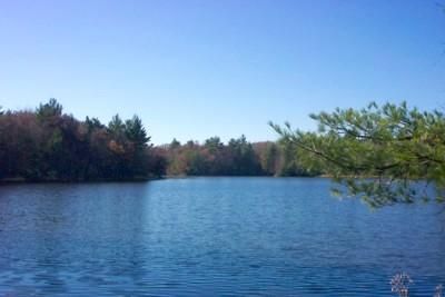 Property in Jackson County, Wisconsin