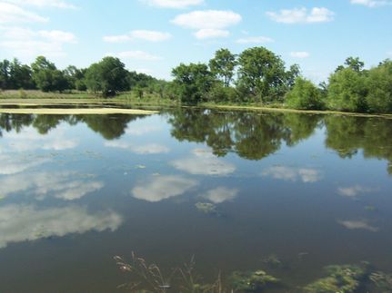 Property in Anderson County, Kansas